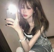 精选呈现套件